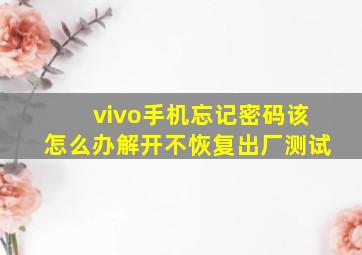 vivo手机忘记密码该怎么办解开不恢复出厂测试