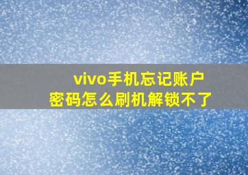 vivo手机忘记账户密码怎么刷机解锁不了