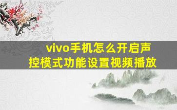 vivo手机怎么开启声控模式功能设置视频播放