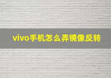 vivo手机怎么弄镜像反转