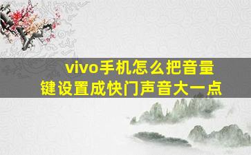 vivo手机怎么把音量键设置成快门声音大一点