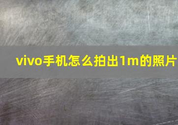 vivo手机怎么拍出1m的照片