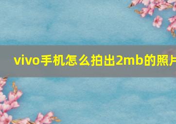 vivo手机怎么拍出2mb的照片