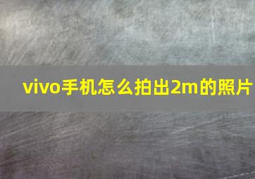 vivo手机怎么拍出2m的照片