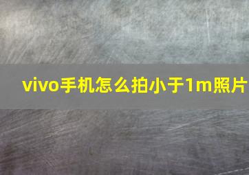 vivo手机怎么拍小于1m照片