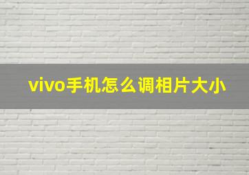 vivo手机怎么调相片大小