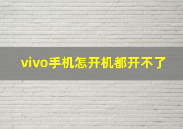 vivo手机怎开机都开不了