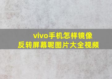 vivo手机怎样镜像反转屏幕呢图片大全视频