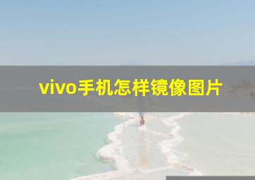 vivo手机怎样镜像图片