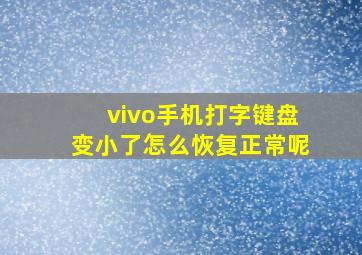 vivo手机打字键盘变小了怎么恢复正常呢