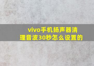 vivo手机扬声器清理音波30秒怎么设置的