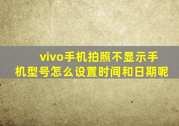 vivo手机拍照不显示手机型号怎么设置时间和日期呢