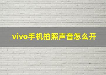 vivo手机拍照声音怎么开