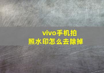 vivo手机拍照水印怎么去除掉