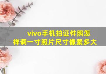 vivo手机拍证件照怎样调一寸照片尺寸像素多大