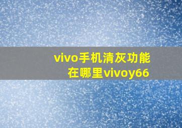 vivo手机清灰功能在哪里vivoy66