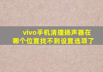 vivo手机清理扬声器在哪个位置找不到设置选项了