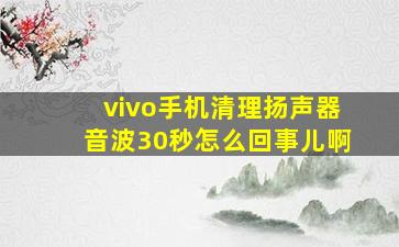 vivo手机清理扬声器音波30秒怎么回事儿啊