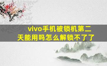 vivo手机被锁机第二天能用吗怎么解锁不了了