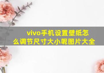 vivo手机设置壁纸怎么调节尺寸大小呢图片大全