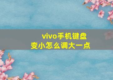 vivo手机键盘变小怎么调大一点