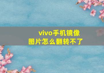 vivo手机镜像图片怎么翻转不了