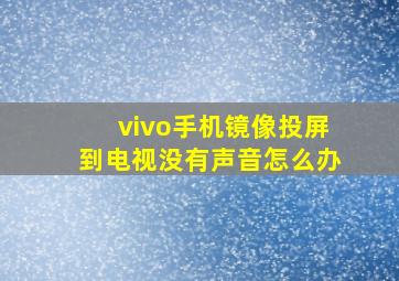 vivo手机镜像投屏到电视没有声音怎么办