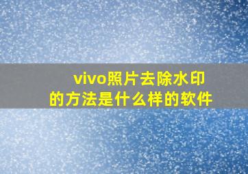 vivo照片去除水印的方法是什么样的软件