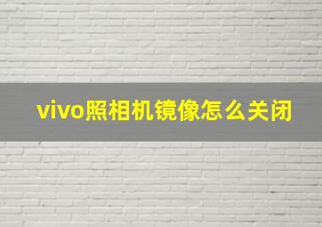 vivo照相机镜像怎么关闭