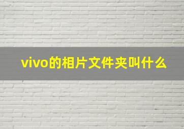 vivo的相片文件夹叫什么