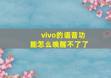 vivo的语音功能怎么唤醒不了了