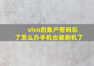 vivo的账户密码忘了怎么办手机也被刷机了