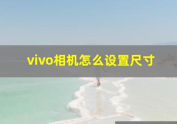 vivo相机怎么设置尺寸