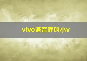 vivo语音呼叫小v