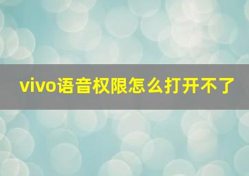 vivo语音权限怎么打开不了