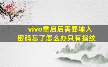 vivo重启后需要输入密码忘了怎么办只有指纹