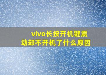 vivo长按开机键震动却不开机了什么原因