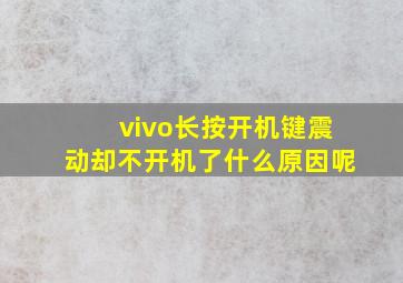 vivo长按开机键震动却不开机了什么原因呢