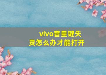 vivo音量键失灵怎么办才能打开