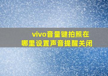 vivo音量键拍照在哪里设置声音提醒关闭