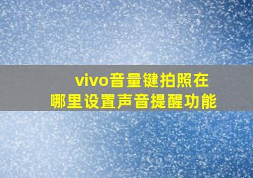 vivo音量键拍照在哪里设置声音提醒功能