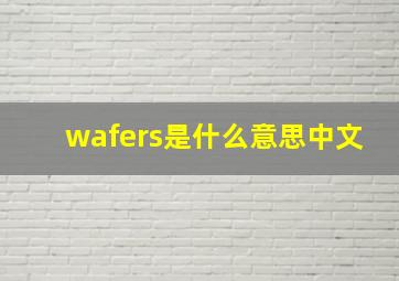 wafers是什么意思中文