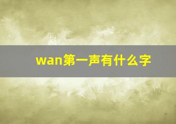 wan第一声有什么字