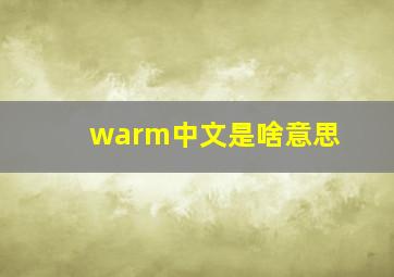 warm中文是啥意思