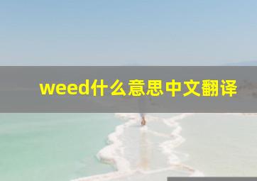 weed什么意思中文翻译