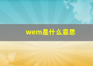 wem是什么意思