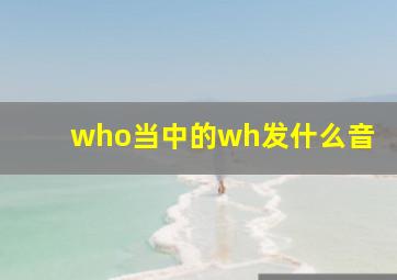 who当中的wh发什么音