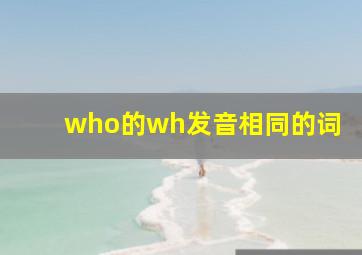 who的wh发音相同的词