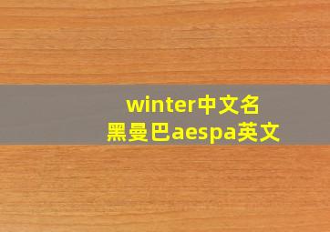 winter中文名黑曼巴aespa英文