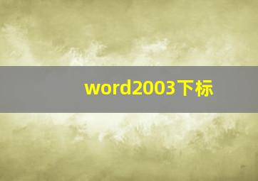 word2003下标